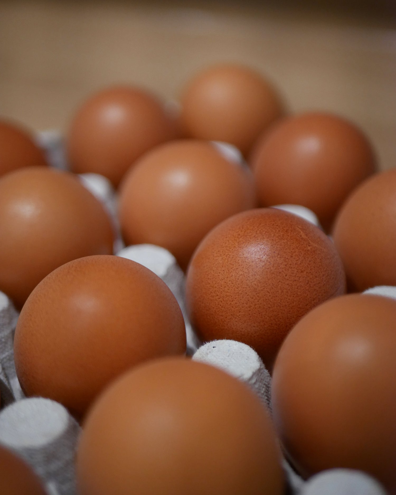 oeufs Jungle Cookies