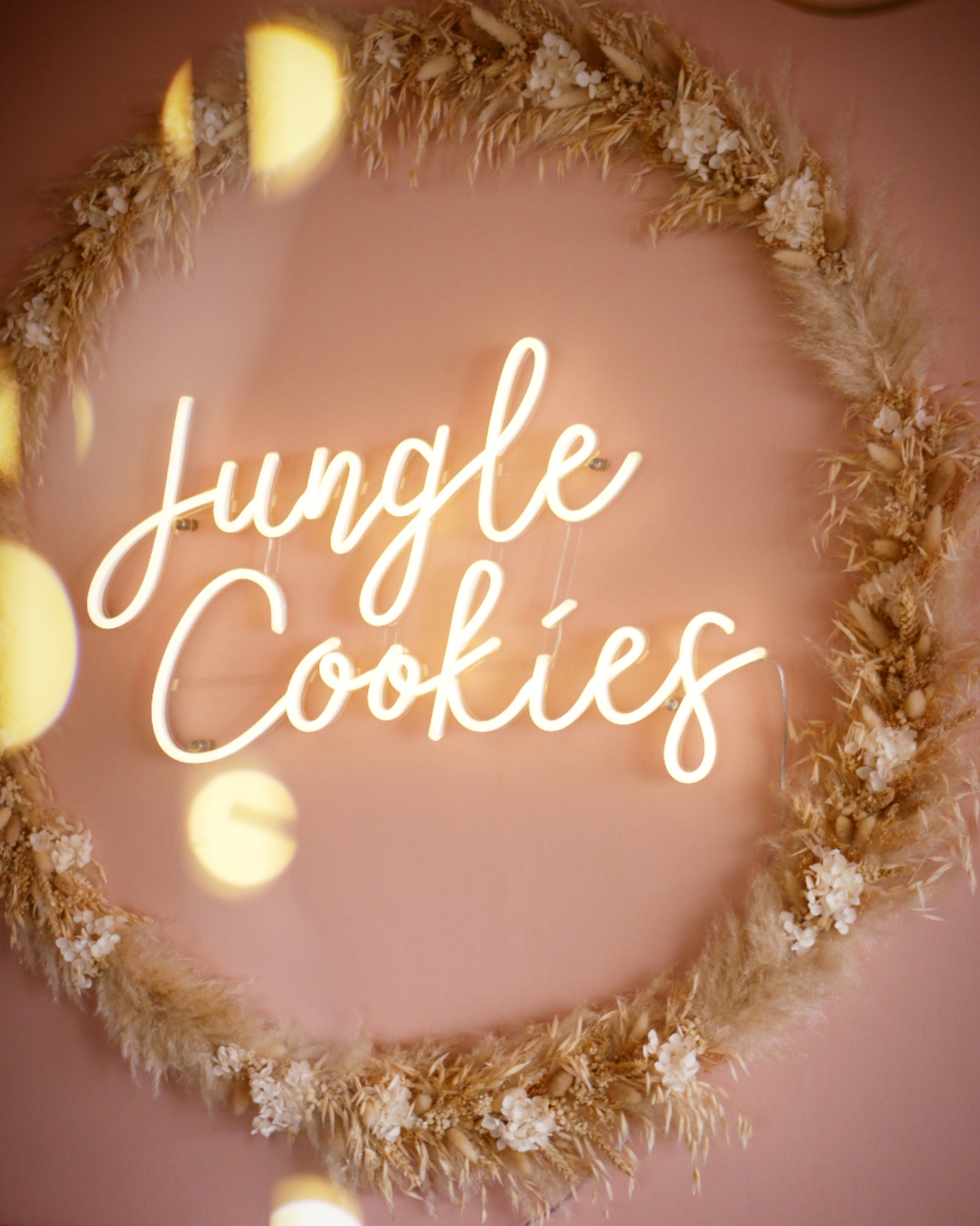 Charger la vidéo : 